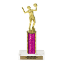 Custom Volleyball Trophy - Type C Series 3518 - AndersonTrophy.com