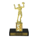 Custom Volleyball Trophy - Type C Series 3518 - AndersonTrophy.com