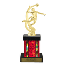 Custom Volleyball Trophy - Type F Series 2MF4525 - AndersonTrophy.com