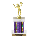 Custom Volleyball Trophy - Type F Series 3518 - AndersonTrophy.com
