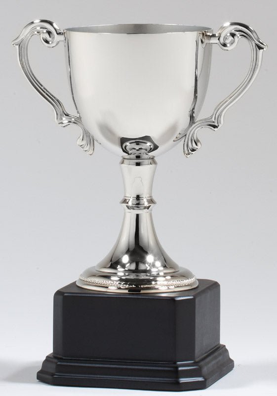 DC3 Series Golf Trophy Cup Award - AndersonTrophy.com