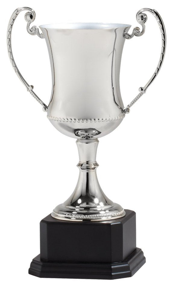 DC4 Series Golf Trophy Cup Award - AndersonTrophy.com