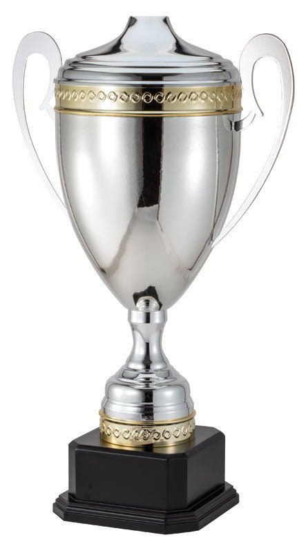 DTC101 Series Italian Made Trophy Cup Award - AndersonTrophy.com