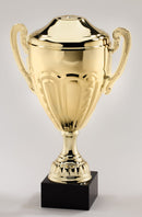DTC46 Series Trophy Cup - AndersonTrophy.com