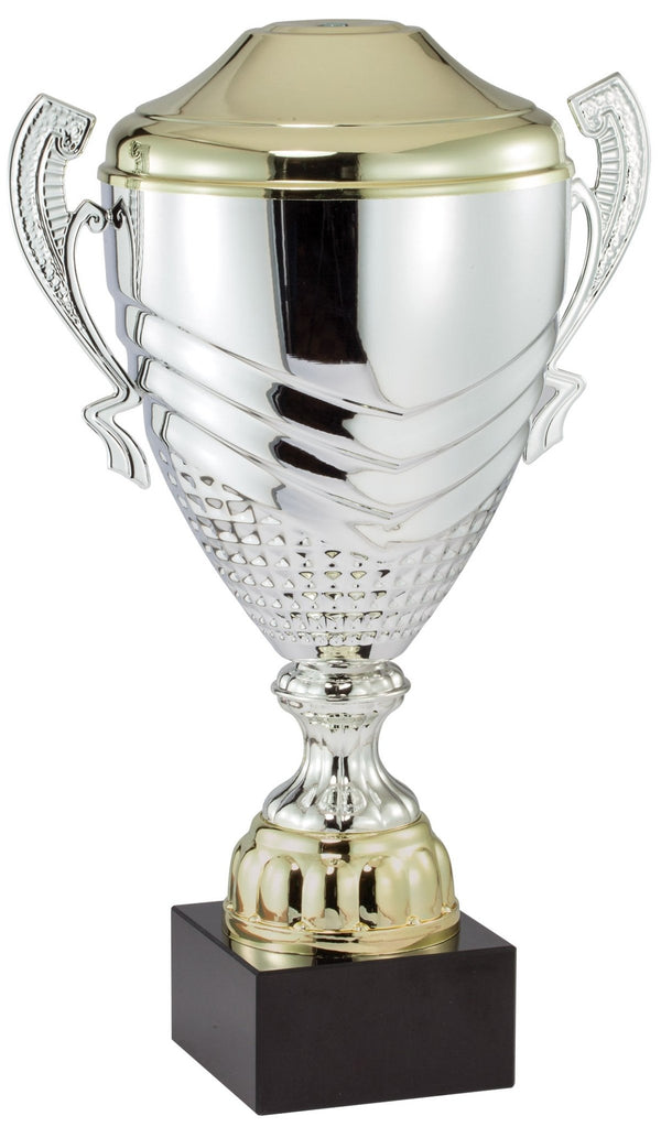 DTC61 Series Italian Made Trophy Cup Award - AndersonTrophy.com