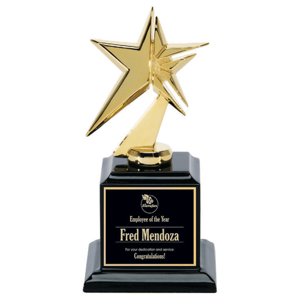 Dynamic Gold Star Award on Stepped Black Piano Finish Base - AndersonTrophy.com