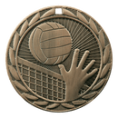 FE Iron Volleyball Medals - AndersonTrophy.com