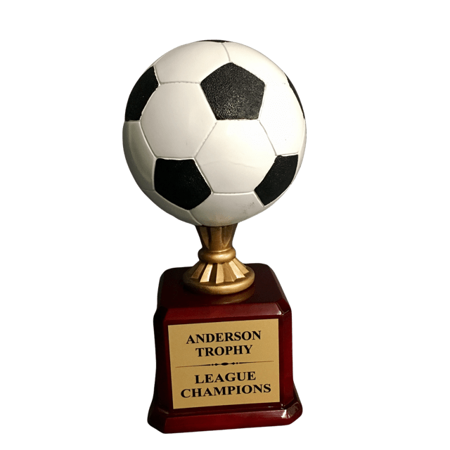Full Color Champions Soccer Trophy on Glossy Rosewood Base - AndersonTrophy.com