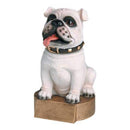 Full Color White Bulldog Bobblehead Resin - AndersonTrophy.com