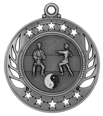 GM1 Martial Arts Themed Medal - AndersonTrophy.com