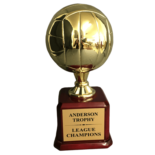 Gold Champions Volleyball Trophy on Glossy Rosewood Base - AndersonTrophy.com