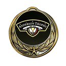 Lone Star Wreath Custom Insert Medal - AndersonTrophy.com