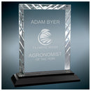 Premier Black Accent Rectangle Glass Award - AndersonTrophy.com