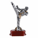 RFC Sport Series Male Martial Arts Resin - AndersonTrophy.com