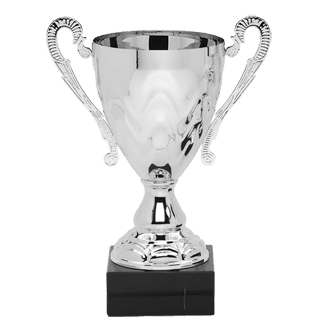 Ripple Wave Trophy Cup - Silver - AndersonTrophy.com