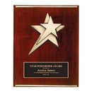 Series 2PCS Premium Star Plaque - AndersonTrophy.com