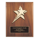 Series 2PCS Premium Star Plaque - AndersonTrophy.com
