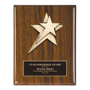 Series 2PCS Premium Star Plaque - AndersonTrophy.com