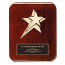 Series 2PCS Premium Star Plaque - AndersonTrophy.com