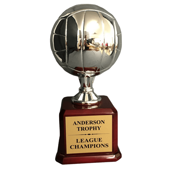Silver Champions Volleyball Trophy on Glossy Rosewood Base - AndersonTrophy.com