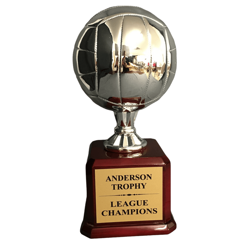 Silver Champions Volleyball Trophy on Glossy Rosewood Base - AndersonTrophy.com