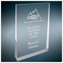 Silver Freestanding Color Wedge Series Acrylic Award - AndersonTrophy.com