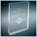 Silver Freestanding Color Wedge Series Acrylic Award - AndersonTrophy.com