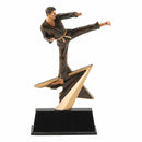 Star Power Sport Martial Arts Resin - AndersonTrophy.com