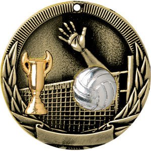 Tri-Colored Volleyball Themed Medals - AndersonTrophy.com